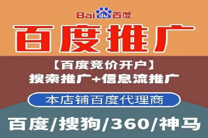 成功运用SEM服务实现品牌推广的案例分析
